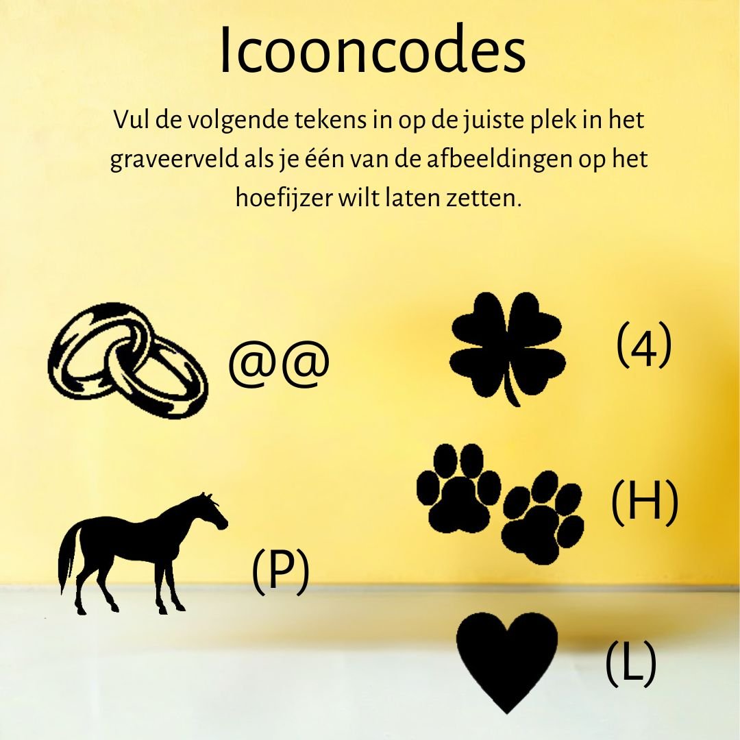 Chroom hoefijzer - Hoefijzergeschenk.nl