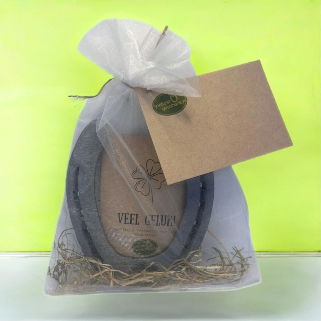 Chroom hoefijzer - Hoefijzergeschenk.nl