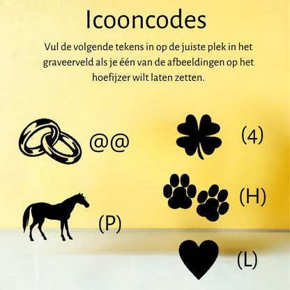 Chroom hoefijzer - Hoefijzergeschenk.nl
