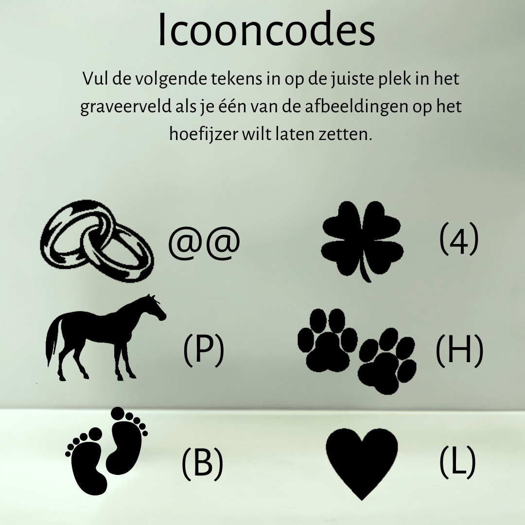 Gouden hoefijzer - Hoefijzergeschenk.nl