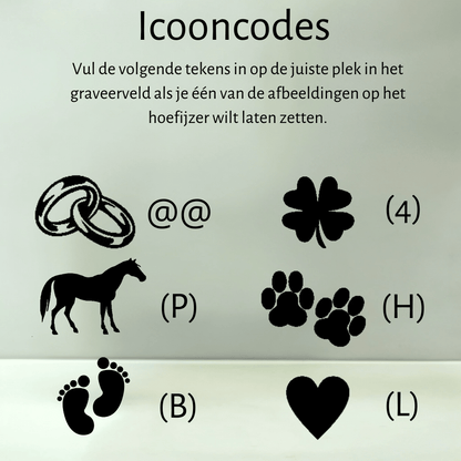 Gouden hoefijzer - Hoefijzergeschenk.nl