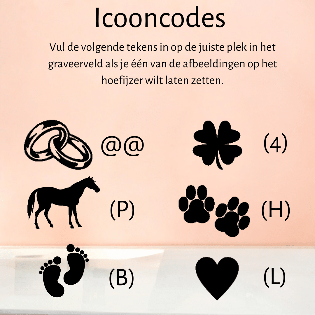 Roze hoefijzer - Hoefijzergeschenk.nl