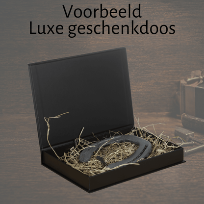 Chroom hoefijzer voor Vaderdag - Hoefijzergeschenk.nl